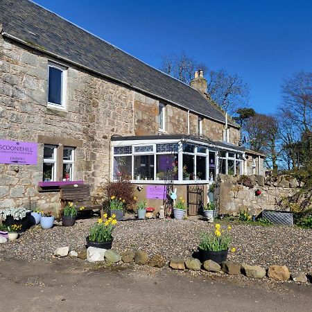 Scooniehill Farm House B&B St Andrews Kültér fotó